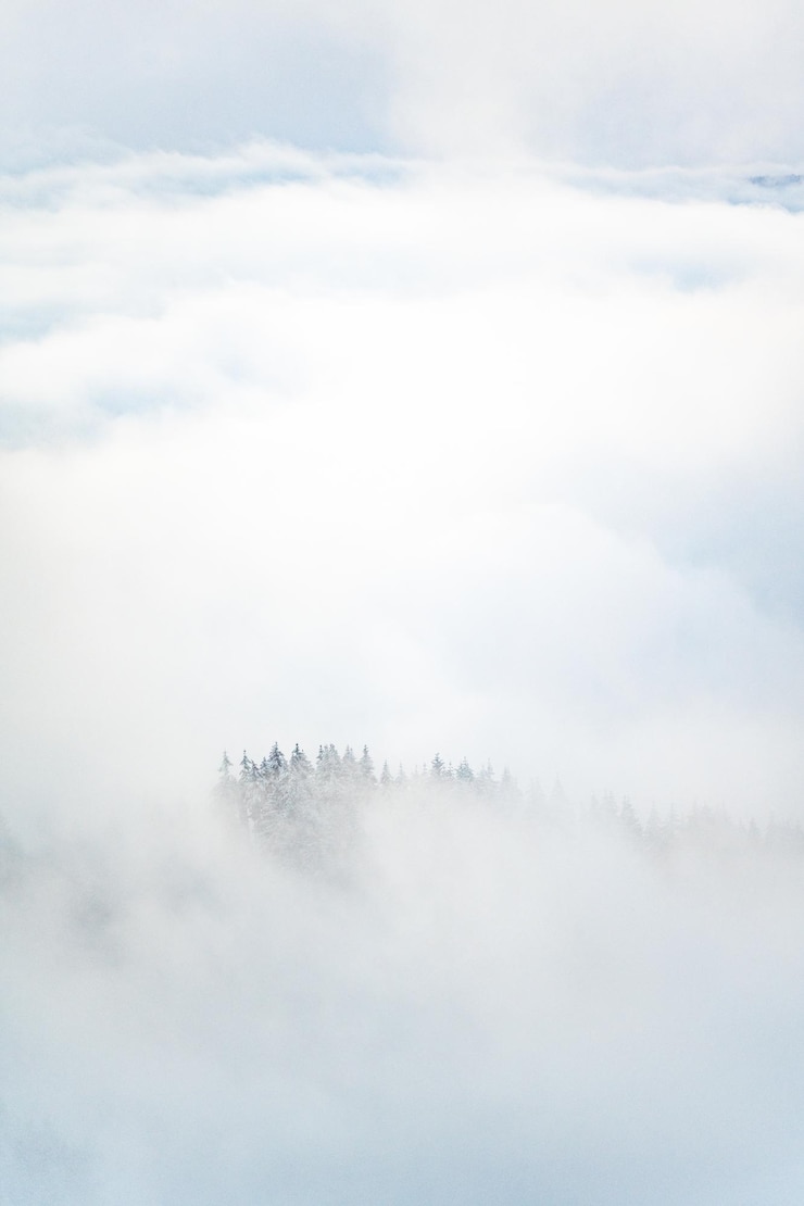 Photo 空に照らされた霧に覆われた景色の風景
