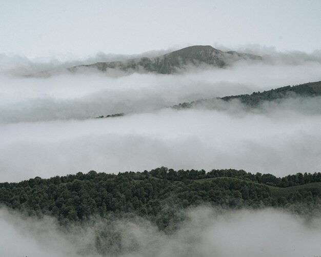 空を背景に霧で覆われた山の景色