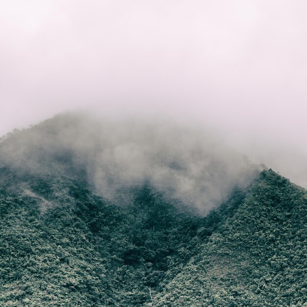 Photo scenic view of fog