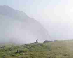 Photo scenic view of foggy landscape against sky