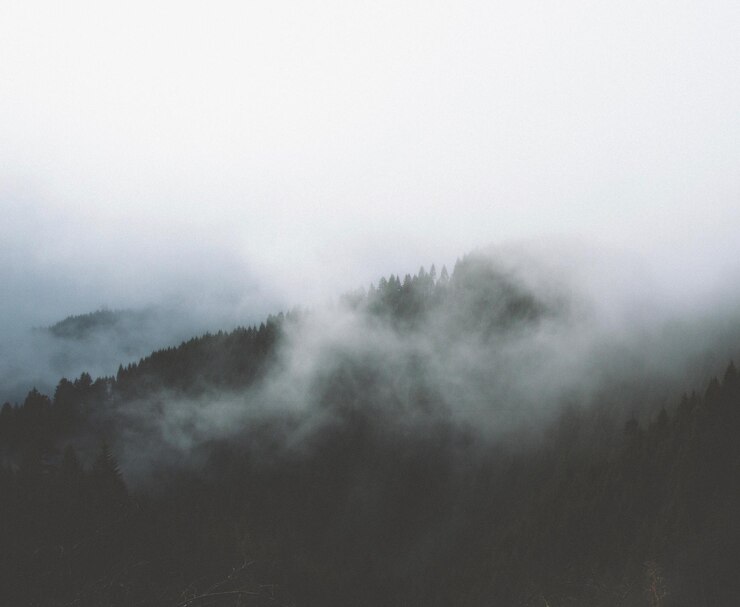 Photo scenic view of foggy weather against sky