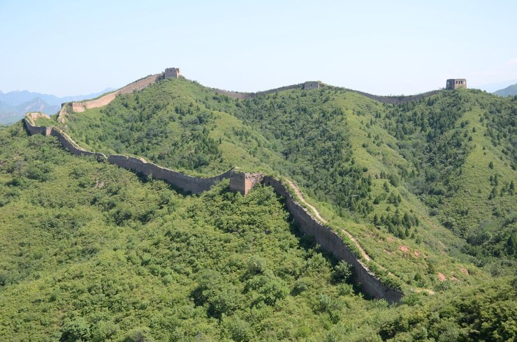 Photo 은 하늘 을 배경 으로 숲 의 풍경