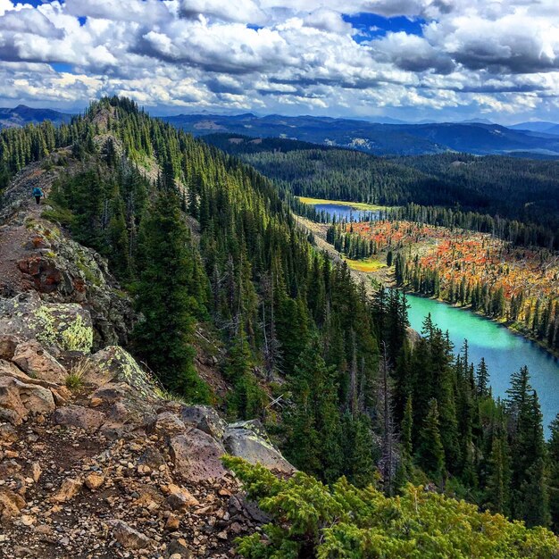 Photo scenic view of forest against cloudy sky