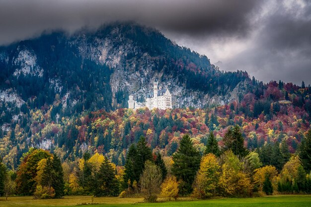 Photo scenic view of forest against sky during autumn