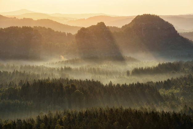 Photo scenic view of forest against sky during sunset