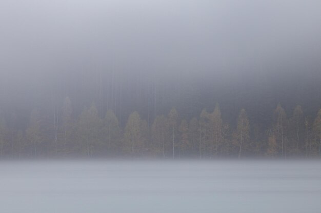 Photo scenic view of forest against sky during winter