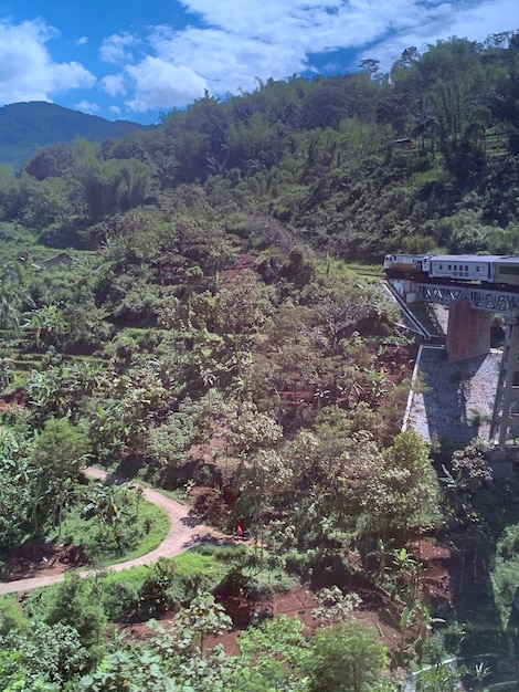 Foto vista panoramica della foresta contro il cielo