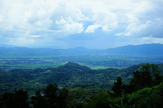 Scenic view of forest against sky