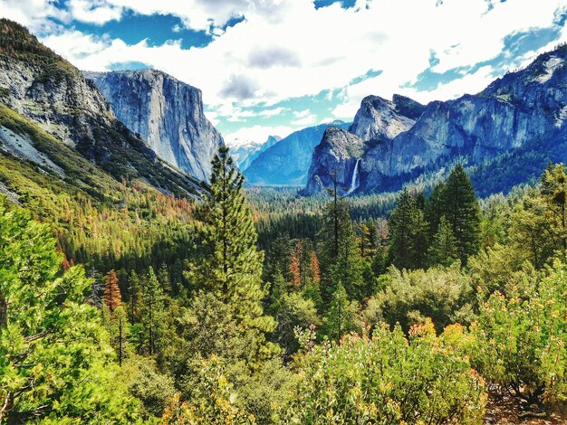 Scenic view of forest next to mountains against cloudy sky