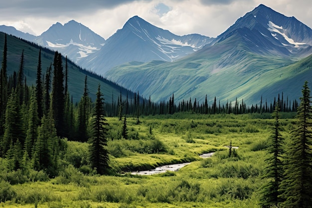 Scenic View of Forest and Mountains in Denali National Park and Preserve Alaska Breathtaking