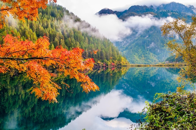 Photo scenic view of forest mountains and river