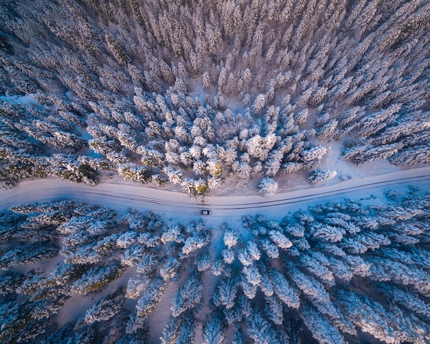 Photo scenic view of forest in winter