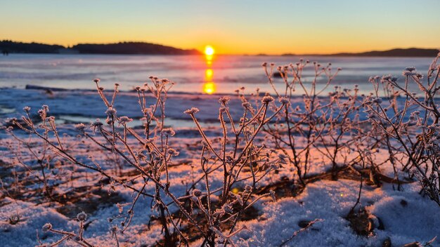 Scenic view of frozen lake against sky during sunset