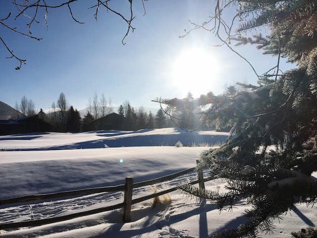 Scenic view of frozen landscape against sky