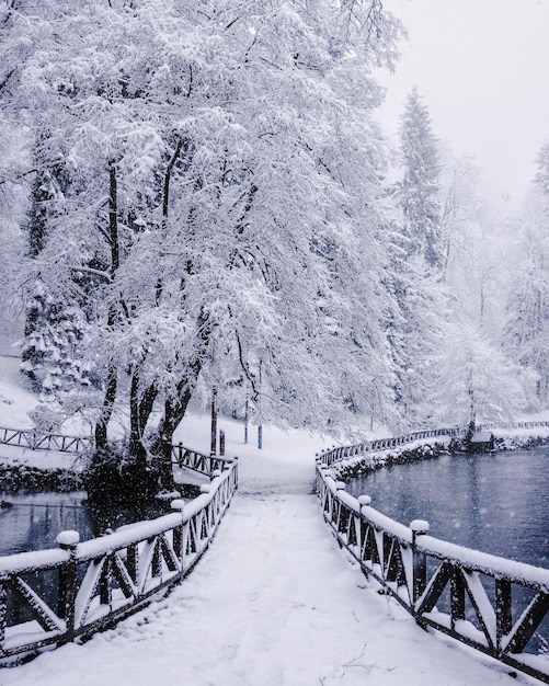 Scenic view of frozen river against sky during winter