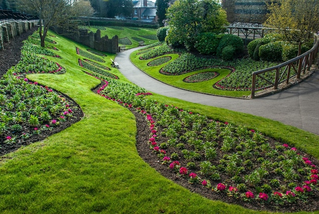 Photo scenic view of garden in park