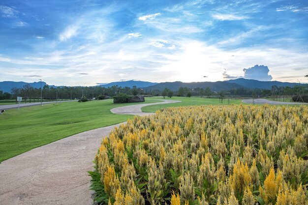 Scenic view of golf course against cloudy sky