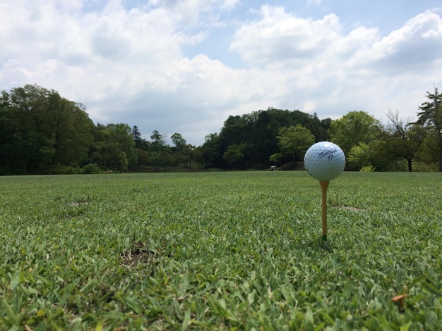 Photo scenic view of golf course against sky