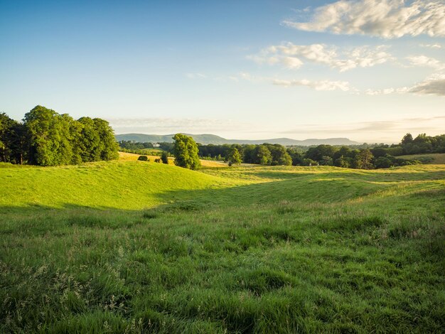 Photo scenic view of golf course against sky