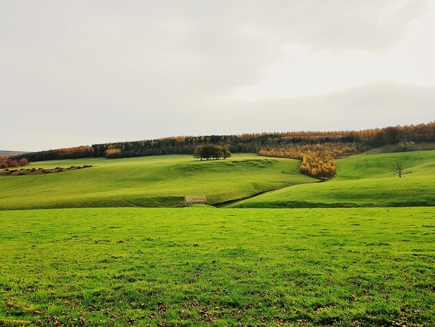 Vista panoramica del campo da golf contro il cielo