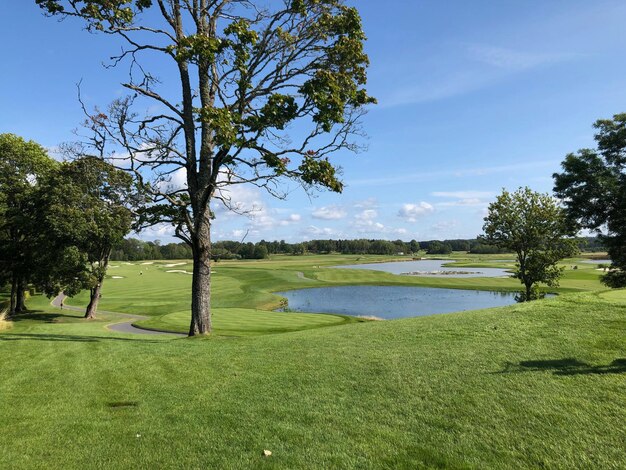 Foto vista panoramica del campo da golf contro il cielo