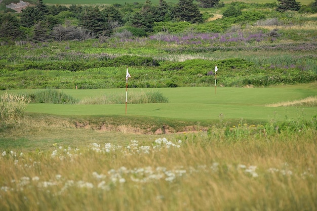 Foto vista panoramica del campo da golf