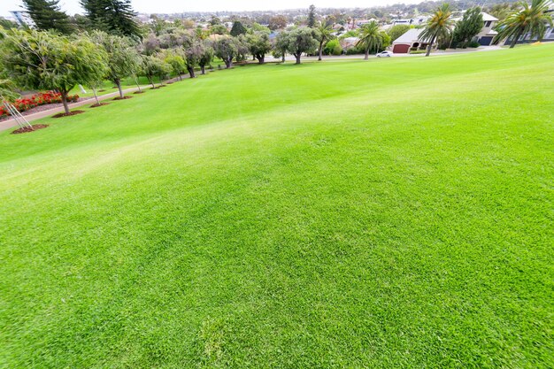 Photo scenic view of golf course