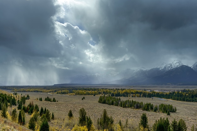 Scenic View of the Grand Teton National Park