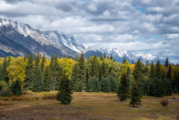 Vista panoramica del parco nazionale del grand teton