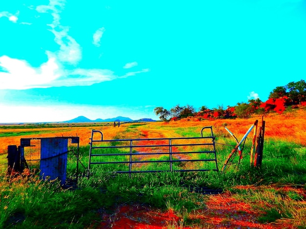 Foto la vista panoramica di un campo erboso contro il cielo blu