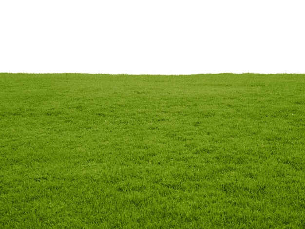 Photo scenic view of grassy field against clear sky