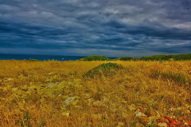 Scenic view of grassy field against cloudy sky