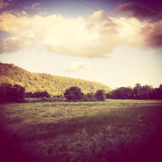 Foto vista panoramica del campo erboso contro il cielo nuvoloso