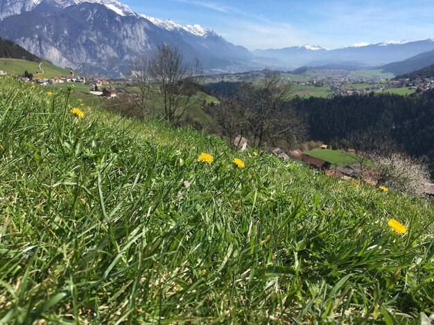 Scenic view of grassy field against cloudy sky