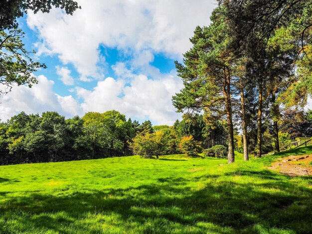 Scenic view of grassy field against cloudy sky