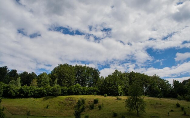 Photo scenic view of grassy field against cloudy sky