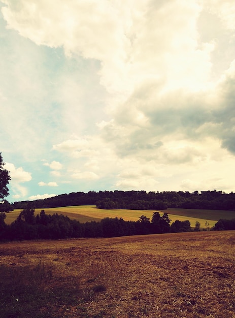 Foto vista panoramica di un campo erboso contro un cielo nuvoloso