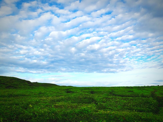 Foto vista panoramica di un campo erboso contro un cielo nuvoloso