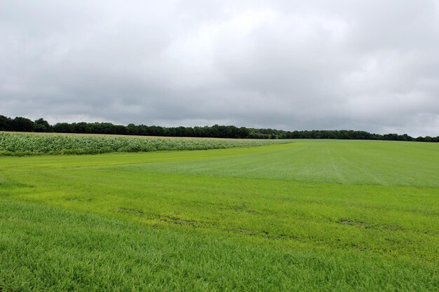 Scenic view of grassy field against cloudy sky