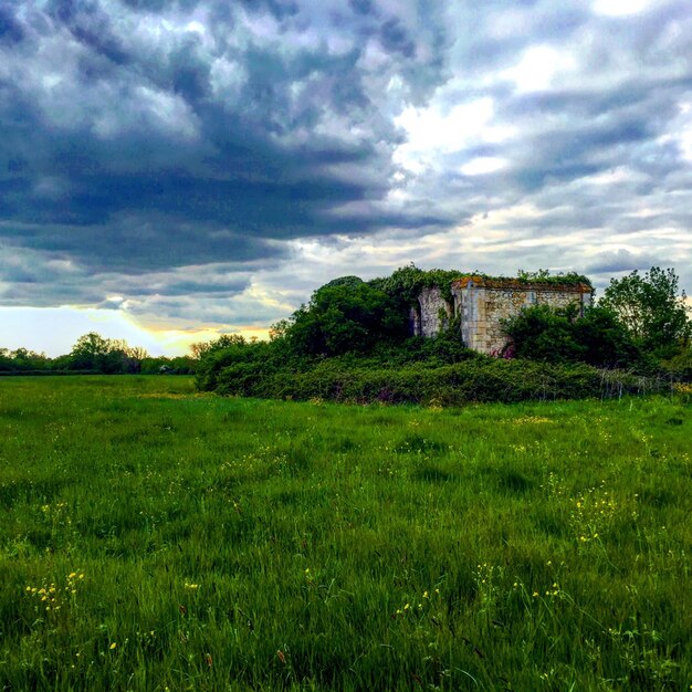 Scenic view of grassy field against cloudy sky