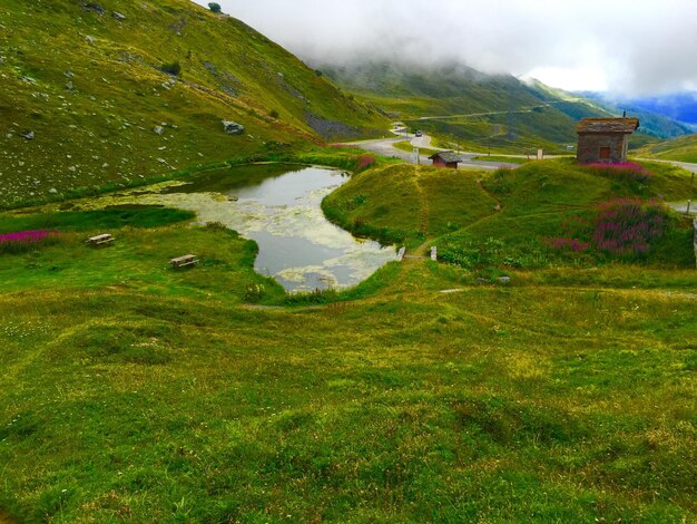 Photo scenic view of grassy field against cloudy sky