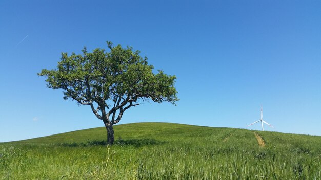 Foto vista panoramica di un campo erboso contro un cielo nuvoloso