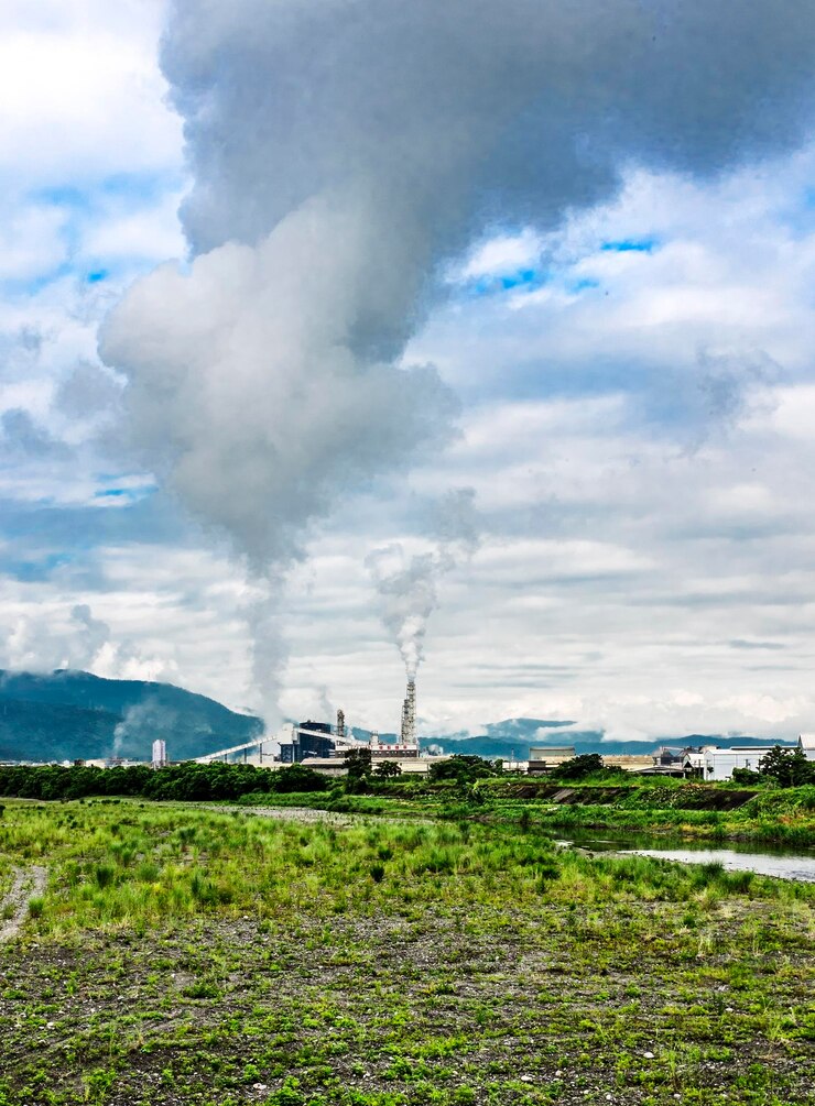 Photo 雲の空に照らされた草原の景色
