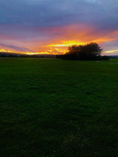 Scenic view of grassy field against sky during sunset