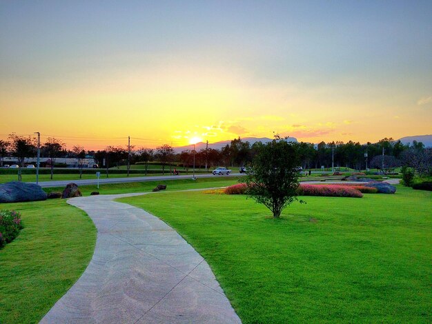 Scenic view of grassy field against sky at sunset