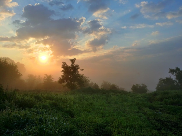 scenic view of grassy field against sky during sunset