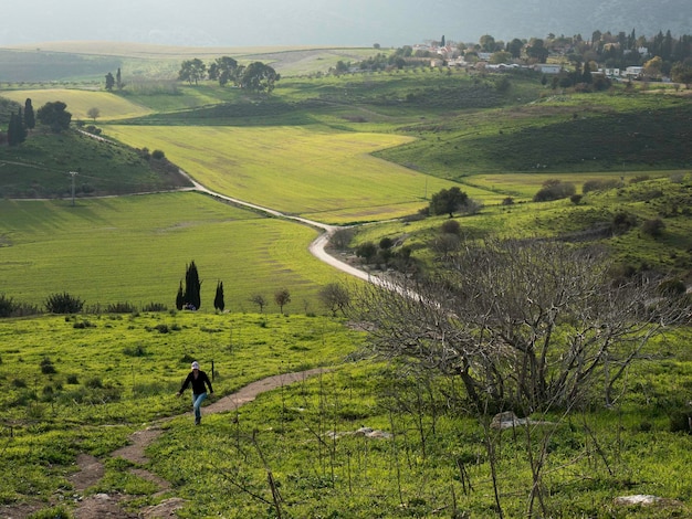 Foto vista panoramica di un campo erboso contro il cielo