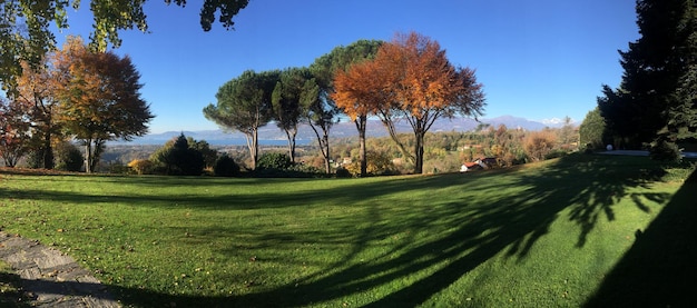 Foto vista panoramica di un campo erboso contro il cielo