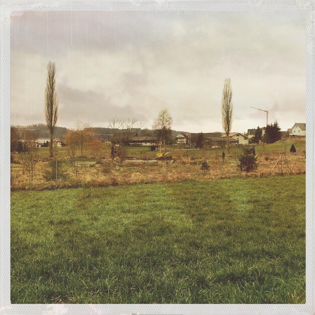 Foto vista panoramica di un campo erboso contro il cielo