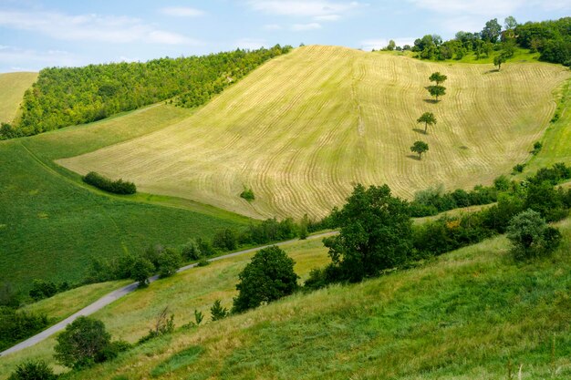 Scenic view of grassy field against sky